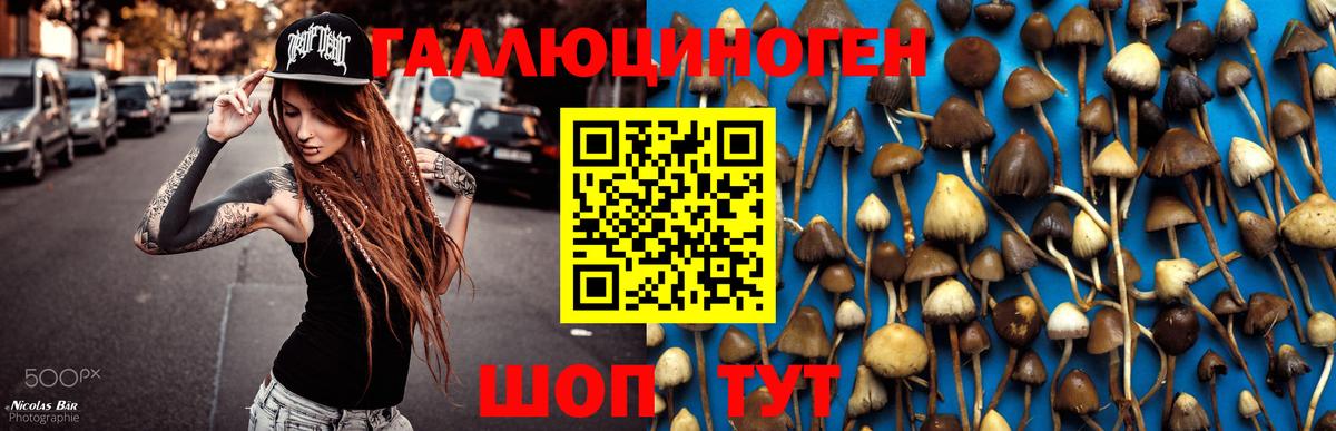 Псилоцибиновые грибы Magic Shrooms  Вход с VPN  Кропоткин 